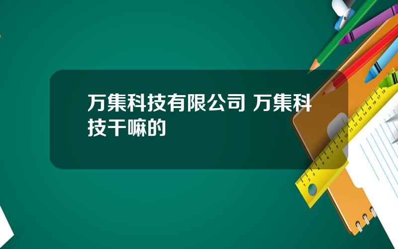 万集科技有限公司 万集科技干嘛的